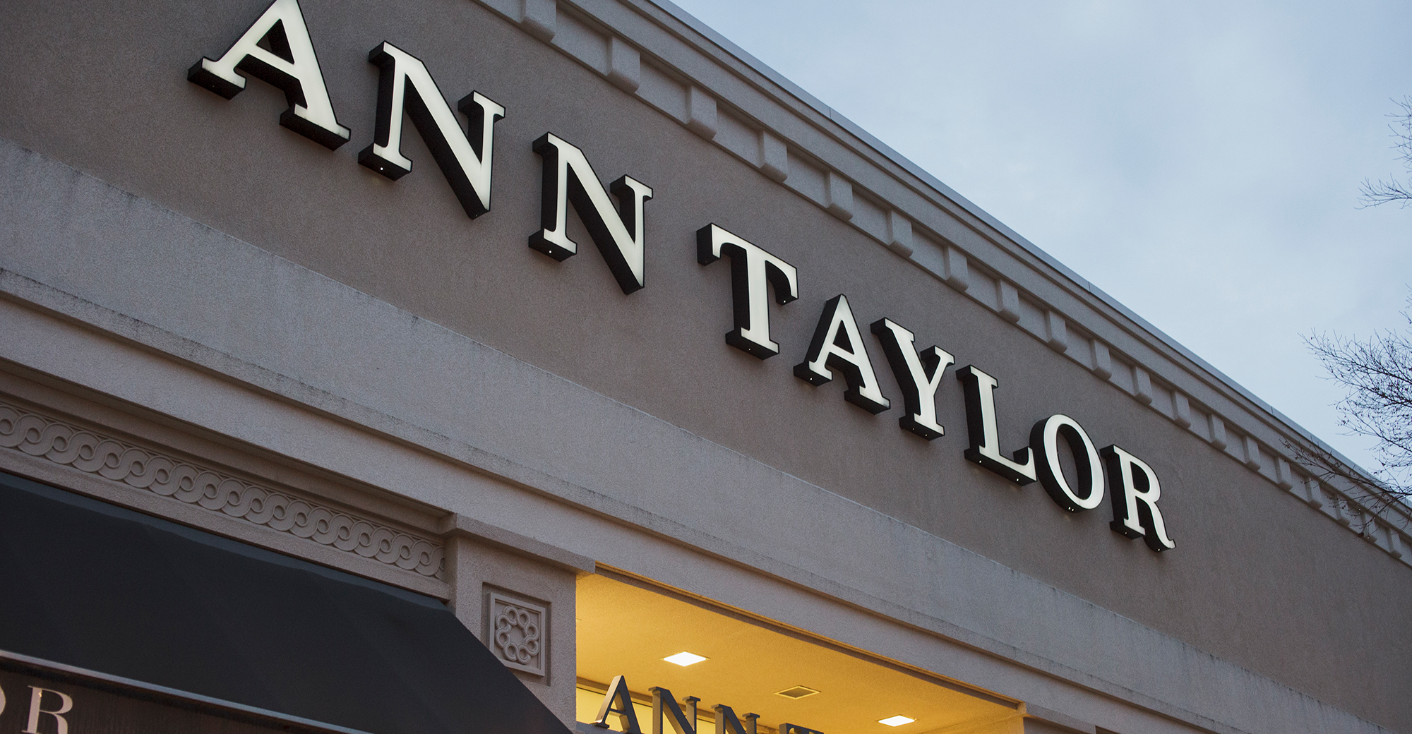 stores like ann taylor